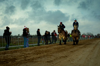 Metworstrennen Boxmeer 2026